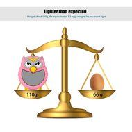 HappyCell&reg; Owl Speaker Mini Super-Portable Wireless Bluetooth Speaker with Hands-free Speakerphone Built-in Mic... N14