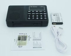 AMPSEVEN Portable AM/FM/SW 3 Band Radio Speaker USB MP3 Music Player Support Memory Delete,TF Card Slot(Red258) N28