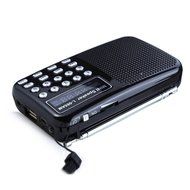 AMPSEVEN Portable AM/FM/SW 3 Band Radio Speaker USB MP3 Music Player Support Memory Delete,TF Card Slot(Red258) N105