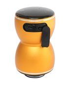 Vibe-Tribe Thor Gold: 20Watt Bluetooth Full-Feature Vibration Speaker, Hands-free, MP3 reader