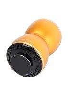 Vibe-Tribe Thor Gold: 20Watt Bluetooth Full-Feature Vibration Speaker, Hands-free, MP3 reader N2