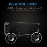 XTRA e-FUSION Wireless 4.1 Bluetooth Speaker Portable Stereo FM Radio, High-Def Crystal Sound, Upto 128GB Micro... N10
