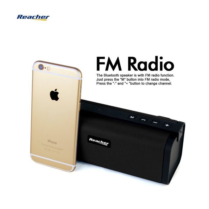 Reacher Portable Bluetooth Speaker FM Radio MP3 Player Built-In Power Bank, Mic, Micro TF SD Card, USB Input,... N18