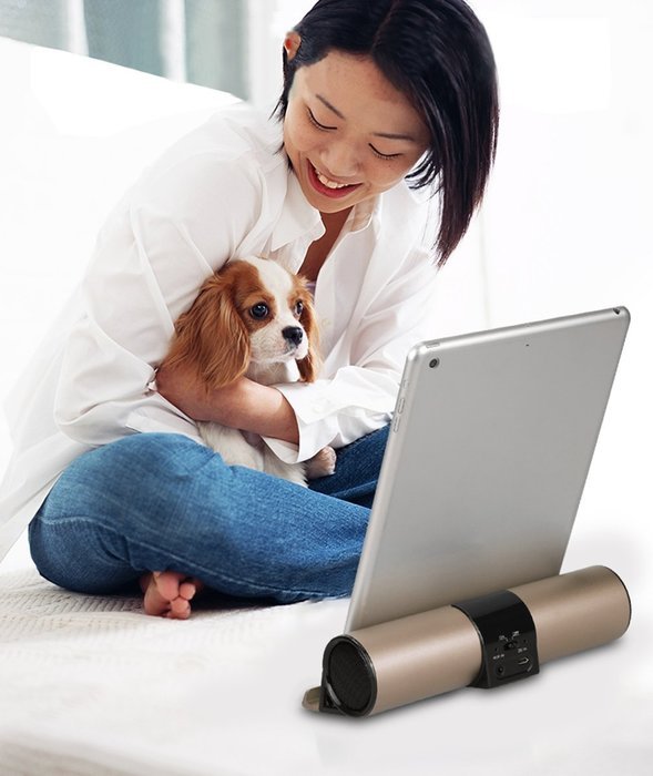 iRULU Portable Bluetooth Speaker With Stand Seat Hi-Fi Subwoofer Hands Free Design For Tablet Smartphone - Silver N19