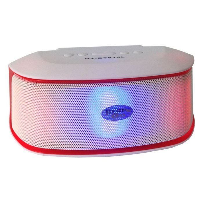 BraveGo Portable Bluetooth 3.0 Wireless Pill Speaker with Fm Radio Support, 3.5mm Connector, Built-in Microphone... N24