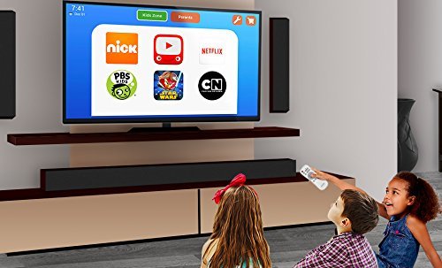 FAVI Entertainment SS-4GB-K 4GB SmartStick Smart TV Converter N2