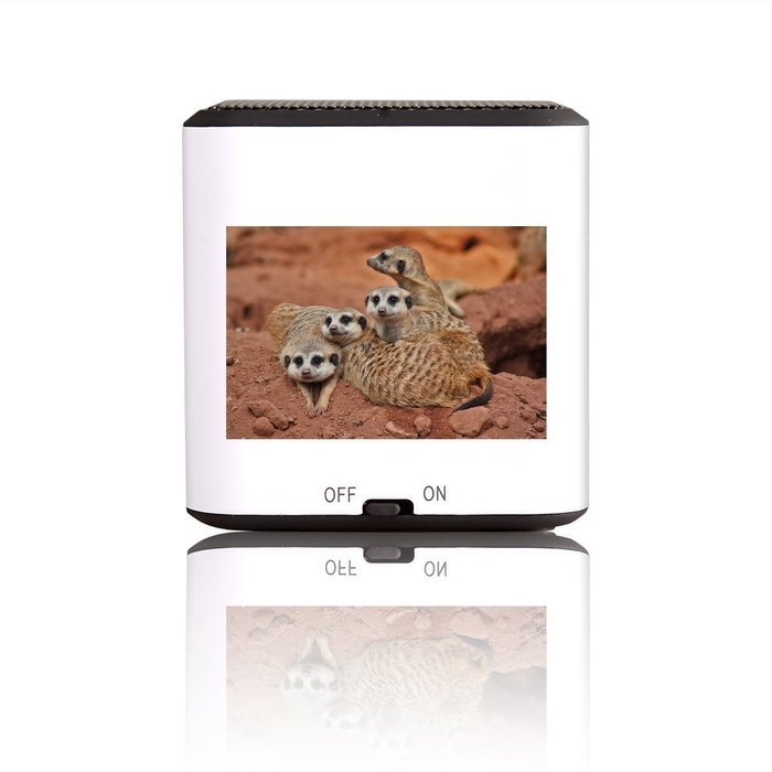 [New Version] AGPtek Portable Wireless Bluetooth Speaker,Built-in Mic, with Pocket Size, Enhanced Bass Resonator...