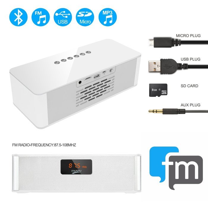Bluetooth V4.0 HIFI Speaker, Costech Portable Stereo FM Radio, Handsfree, Support USB HOST & Micro SD card Pairs... N12