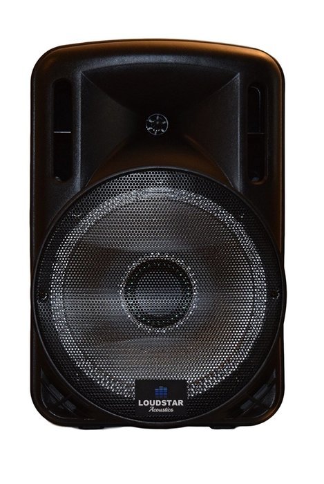 Portable Speaker 12" 1300W PA System, 2 Wireless Microphones, Bluetooth, Rechargeable, LED N3