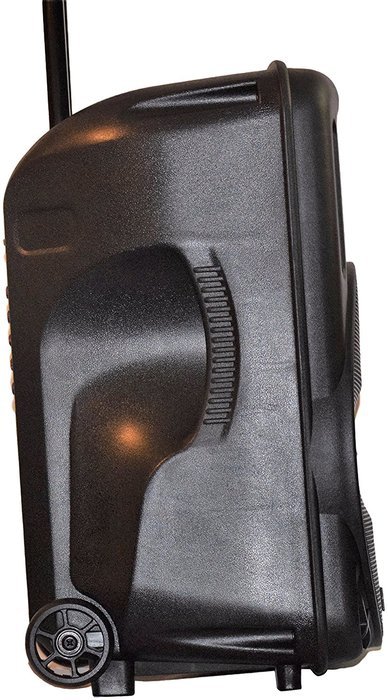 Portable Speaker 12" 1300W PA System, 2 Wireless Microphones, Bluetooth, Rechargeable, LED N6