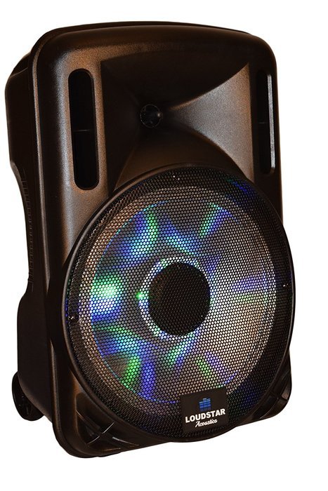 Portable Speaker 12" 1300W PA System, 2 Wireless Microphones, Bluetooth, Rechargeable, LED N9