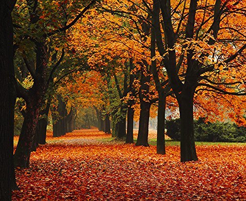 Sound Art Bluetooth Speaker Red Autumn In The Park, 9" H x 11" L