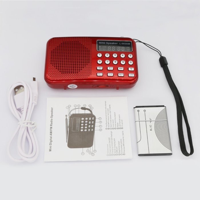 AMPSEVEN Portable AM/FM/SW 3 Band Radio Speaker USB MP3 Music Player Support Memory Delete,TF Card Slot(Red258) N21