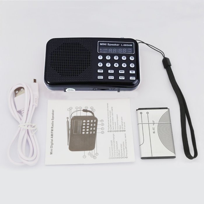 AMPSEVEN Portable AM/FM/SW 3 Band Radio Speaker USB MP3 Music Player Support Memory Delete,TF Card Slot(Red258) N107