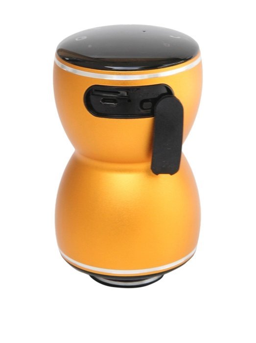 Vibe-Tribe Thor Gold: 20Watt Bluetooth Full-Feature Vibration Speaker, Hands-free, MP3 reader