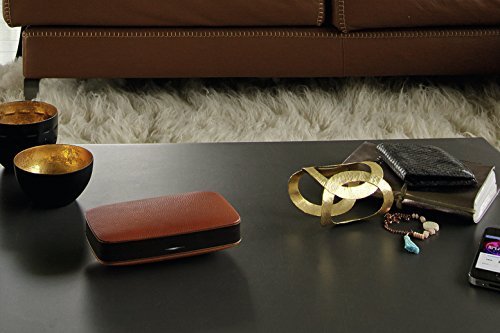 Pioneer XW-LF3-T Portable Bluetooth Speaker (Discontinued by Manufacturer) N2