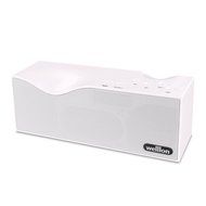 Welllon 2X5W Dual-Driver Portable Bluetooth Speaker with Built-in Mic - Black N11