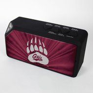 NCAA Montana Grizzlies BX-100 Bluetooth Speaker, Black N2