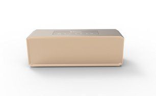 Icoox Wireless Metal Music Speaker - Bluetooth 4.1 Speaker with Built-in Speakerphone and 10 Hour Rechargeable...