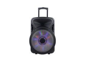 AKOUSTIQ RC15 15-Inch Rechargeable Bluetooth Speaker System with USB/SD Readers, Microphone Line In and LED Party...