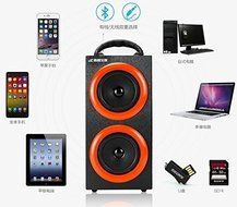 Shihua Large Size 145x120x295mm Bluetooth outdoor HIFI Subwoofer speaker High power FM Radio USB Amplifier Stereo... N7