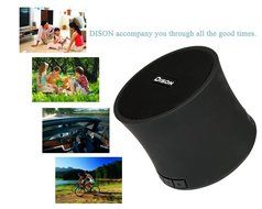 Dison Portable Wireless Bluetooth Speaker with FM Radio and Microphone,HiFi Stereo,Ultra Loud with Subwoofer and... N6