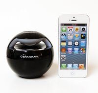 Tera Grand Premium Bluetooth Wireless Speaker with Microphone - Retail Packaging - Black N10