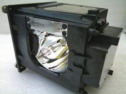 915P049010 - Lamp With Housing