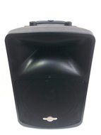 CedarsLink 12" 1,000 Watt Amplified Loudspeaker All In One Package Bluetooth With Two Wireless Microphones N2