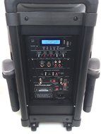 CedarsLink 12" 1,000 Watt Amplified Loudspeaker All In One Package Bluetooth With Two Wireless Microphones N3