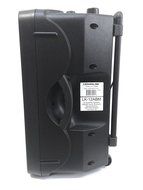 CedarsLink 12" 1,000 Watt Amplified Loudspeaker All In One Package Bluetooth With Two Wireless Microphones N5