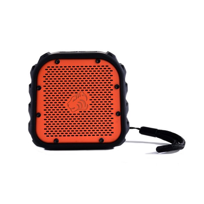 TimoLabs Corbett I Mini, Rugged and Waterproof Wireless Bluetooth Speaker (Black) N14