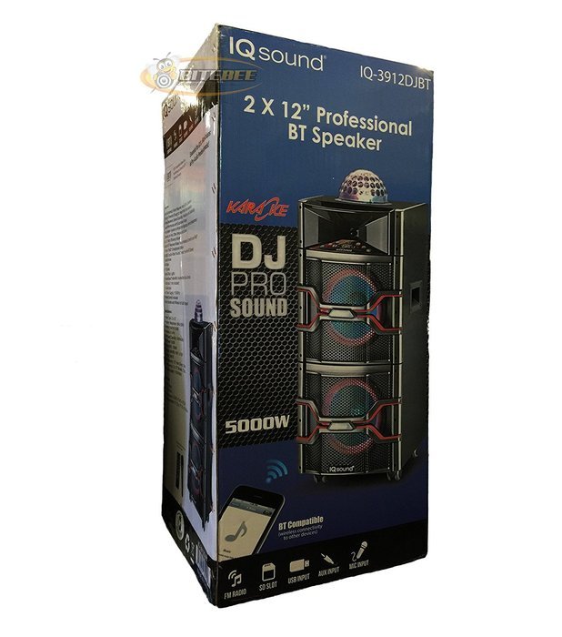 2 x12" Professional BT Speaker