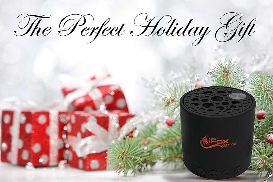 iFox iF010 Bluetooth Speaker - Wireless, TF Card, FM Radio Tuner, AUX Speakerphone Ultra Portable - Pairs with...