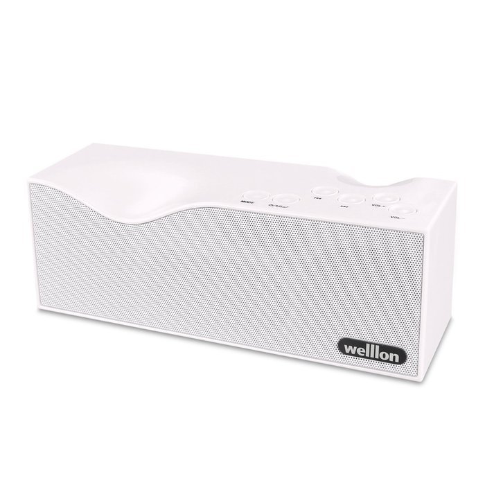 Welllon 2X5W Dual-Driver Portable Bluetooth Speaker with Built-in Mic - Black N11