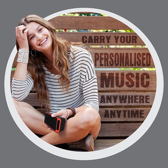 Portable Bluetooth 4.1 Speaker Wireless Stereo FM Radio, High-Def Crystal Sound, Upto 128GB Micro SD Card Support... N5