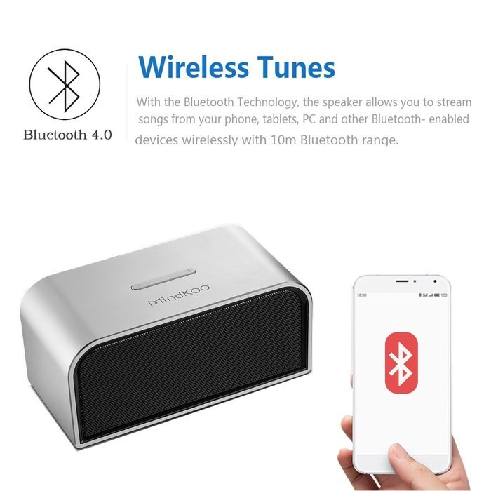 Mindkoo Bluetooth Portable Smart Wireless Speaker for Outdoor, Camping, Hiking, Travel, Gold, Beach (Sliver) N4