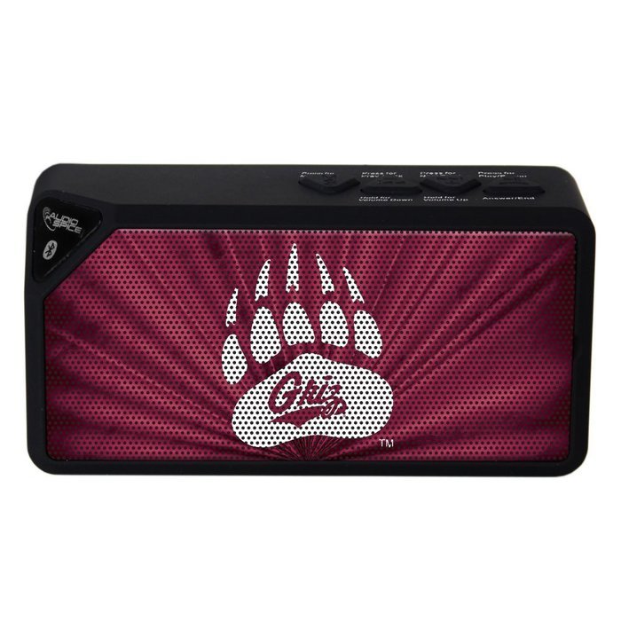 NCAA Montana Grizzlies BX-100 Bluetooth Speaker, Black