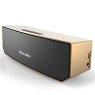 Bluedio BS-3 (Camel) Portable Bluetooth Wireless Stereo Speaker with Mic for Calls,Black N11