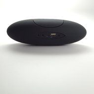 Lehris Portable Wireless Bluetooth Speaker with FM Radio (Black) N2