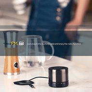 EasyAcc Mini Portable Bluetooth 4.0 Speaker with Mic, 3.5mm Aux, FM Function, Micro SD Card Support - Titanium... N4
