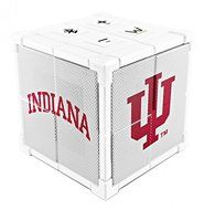 TheSpark Bluetooth Collegiate Speaker for Indiana school