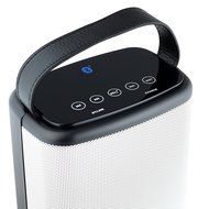 Denali Audio Wireless Bluetooth Large Pairing Speakers with Handle - Black N14