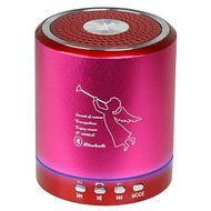 Wireless Portable Mini Bluetooth Speaker Build In Microphone For Handfree Phone Call Support TF/USB/Radio (Purple)