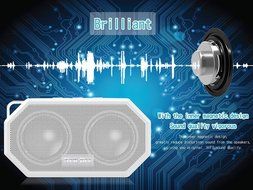 IP66 Bluetooth Portable Waterproof Wireless Outdoor Shower Speaker, Bluetooth CRS 4.0 Stereo with Built-in Mic... N11