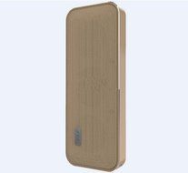 AEC 2016 Blue Joy Portable Slim bluetooth mini speaker amplifier BT202 Gold