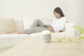 Emoi Portable Leaf Mini Bluetooth Speaker, Wireless 3W NdFeB 82DB Music Player, 360 Sound Quality w/ Passive Radiator... N16