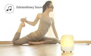Emoi Portable Leaf Mini Bluetooth Speaker, Wireless 3W NdFeB 82DB Music Player, 360 Sound Quality w/ Passive Radiator... N19