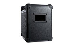 ION Audio Tailgater (iPA77) | Portable Bluetooth PA Speaker with Mic, AM/FM Radio, and USB Charge Port N8