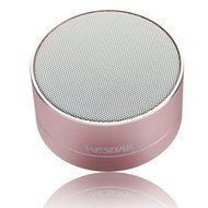 WESDAR Bluetooth Speakers with Lights For iPhone Android Bluetooth 4.0 - 5V 500mah Gray - Weight in 5.6oz, 114S-Gr N19
